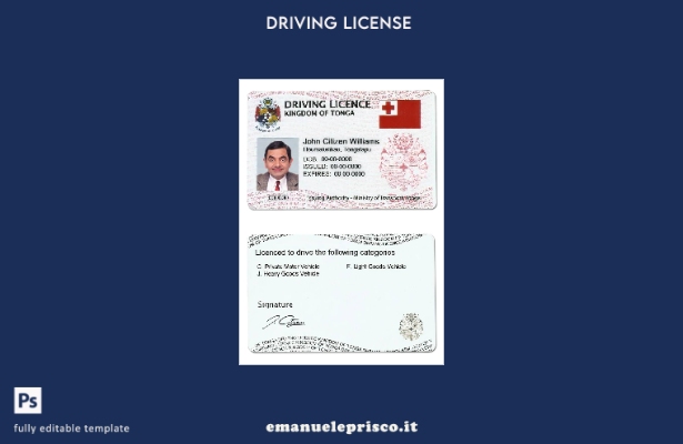 verified style Modello di patente di guida Tonga in stile verificato template